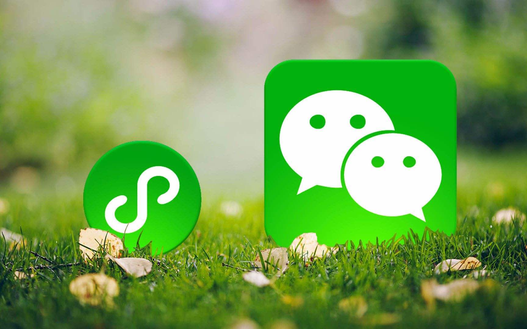 直播|有4亿日活这碗老酒打底，微信与直播带货，咋就八字不合？