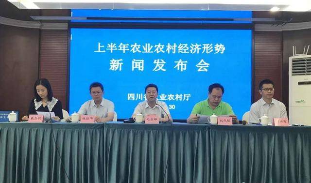 2020年上半年四川省_“2020年上半年四川省数字乡村发展指数”发布