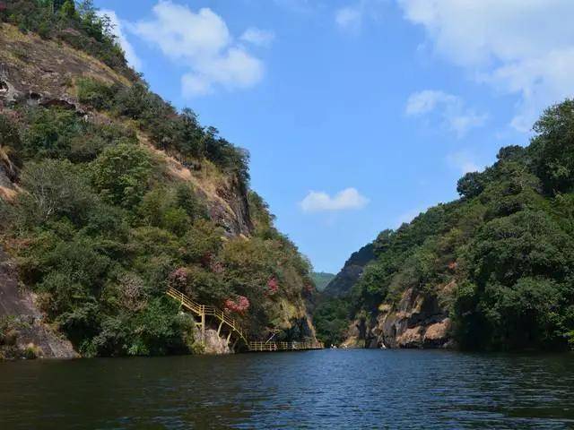 老电影免费在线观看青松岭 8250c9dee31c4ee788dcaefb1e26c47e.jpeg