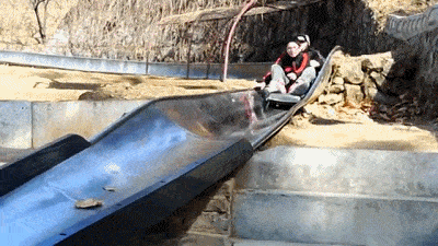 故事传记|3岁画画的自闭症天才，无需起稿画出400种动物，画出了另一个世界