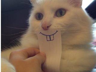 赴宴带小11岁鲜肉男,共回家疑同居,从原谅教主到