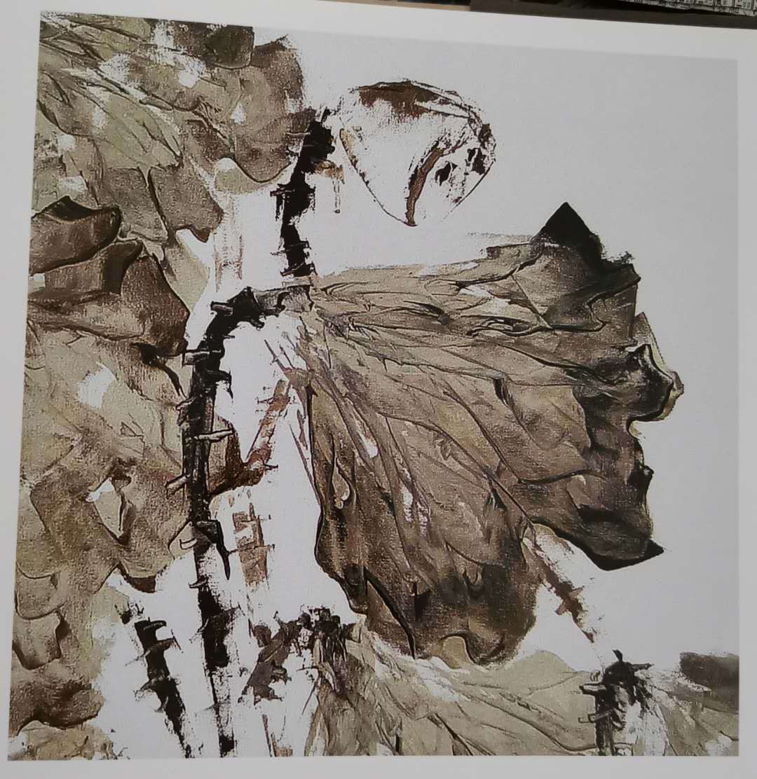 荷花|夏日荷花偶感