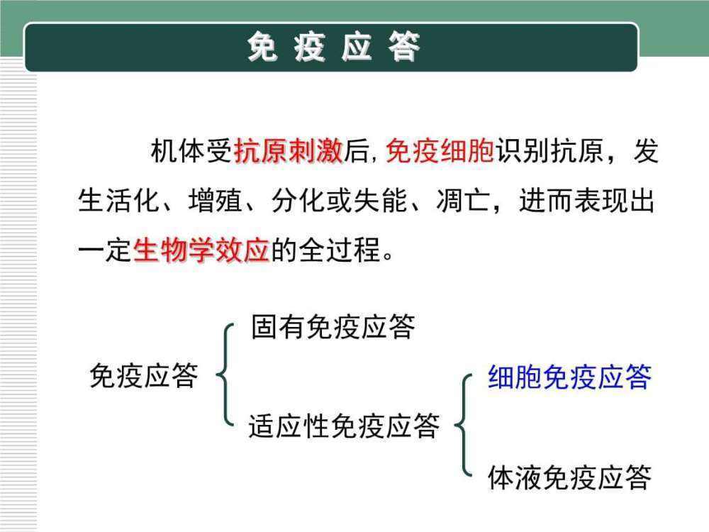 影响|乙肝开发新药关注点，年龄影响表面抗原，清除率和基线低水平挂钩