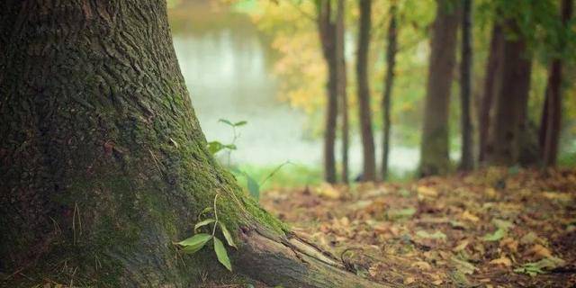 大学|到这几个城市上大学，其实不比北上广差！