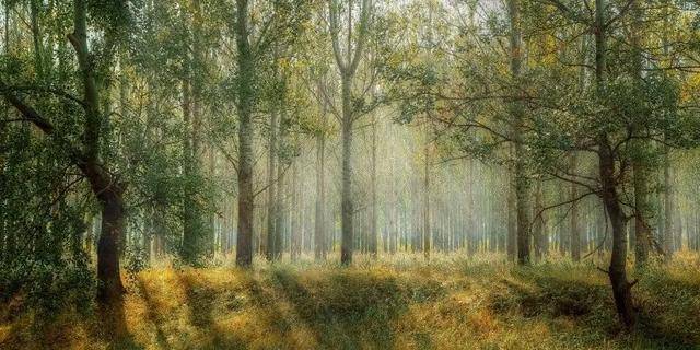 大学|到这几个城市上大学，其实不比北上广差！