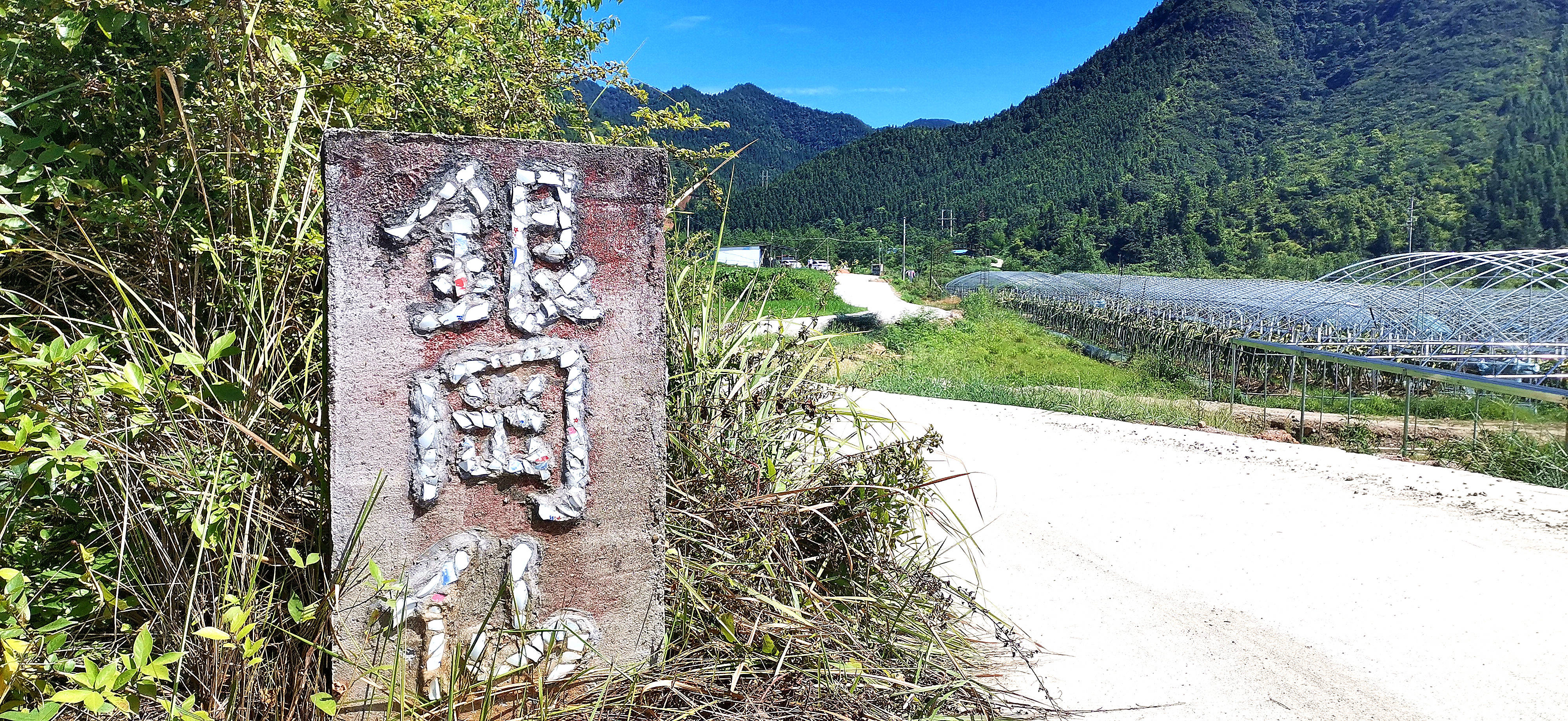 银冈仙为原宁冈县八大古景之一,上面既有古色书香的龙潭书院,也有清澈