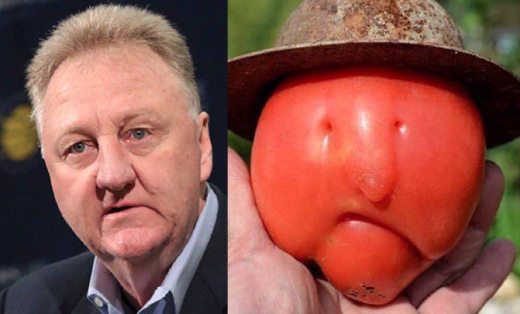 网友|怪异番茄“引爆”国外社交网络 外形神似拉里·伯德