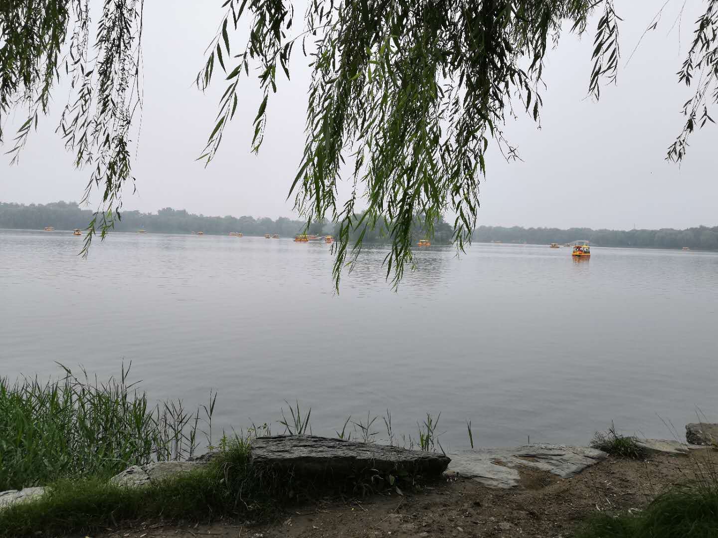 工作|本科毕业和研究生毕业，工作后待遇会有什么不同？