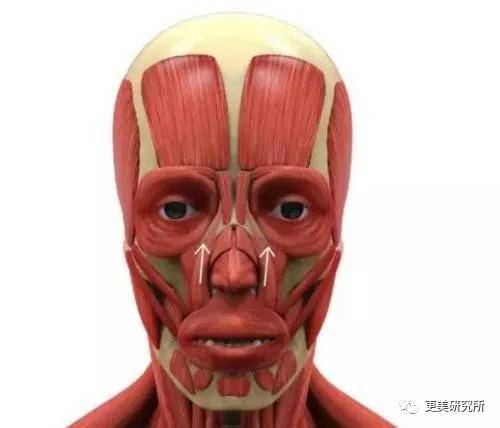 fa|2020最违和女主，收割霸道总裁的颜值就靠这？