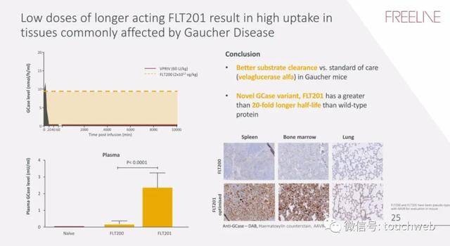 疗法|基因疗法企业Freeline冲刺美股：拟募资过亿美元 路演PPT曝光