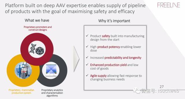 疗法|基因疗法企业Freeline冲刺美股：拟募资过亿美元 路演PPT曝光