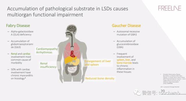 疗法|基因疗法企业Freeline冲刺美股：拟募资过亿美元 路演PPT曝光