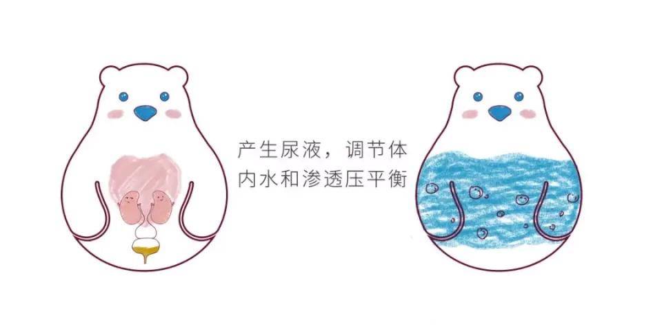 宝宝|请远离这几个坏习惯……为了保护肾宝宝