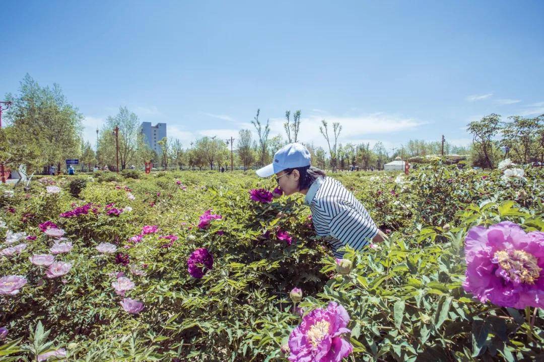 女孩子|喂饱了胃，也喂一下灵魂，看花是不错的选择