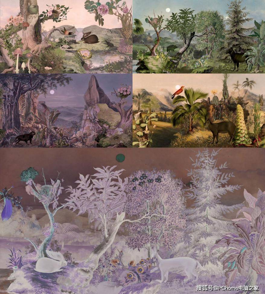 vators|OPPO Reno vators全球青年创作计划2020年度收官