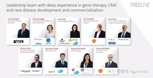 疗法|基因疗法企业Freeline冲刺美股：拟募资过亿美元 路演PPT曝光