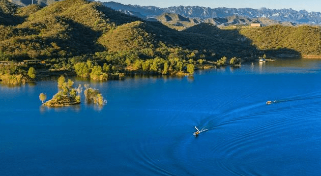 邯郸县gdp2019_小丑2019图片(3)