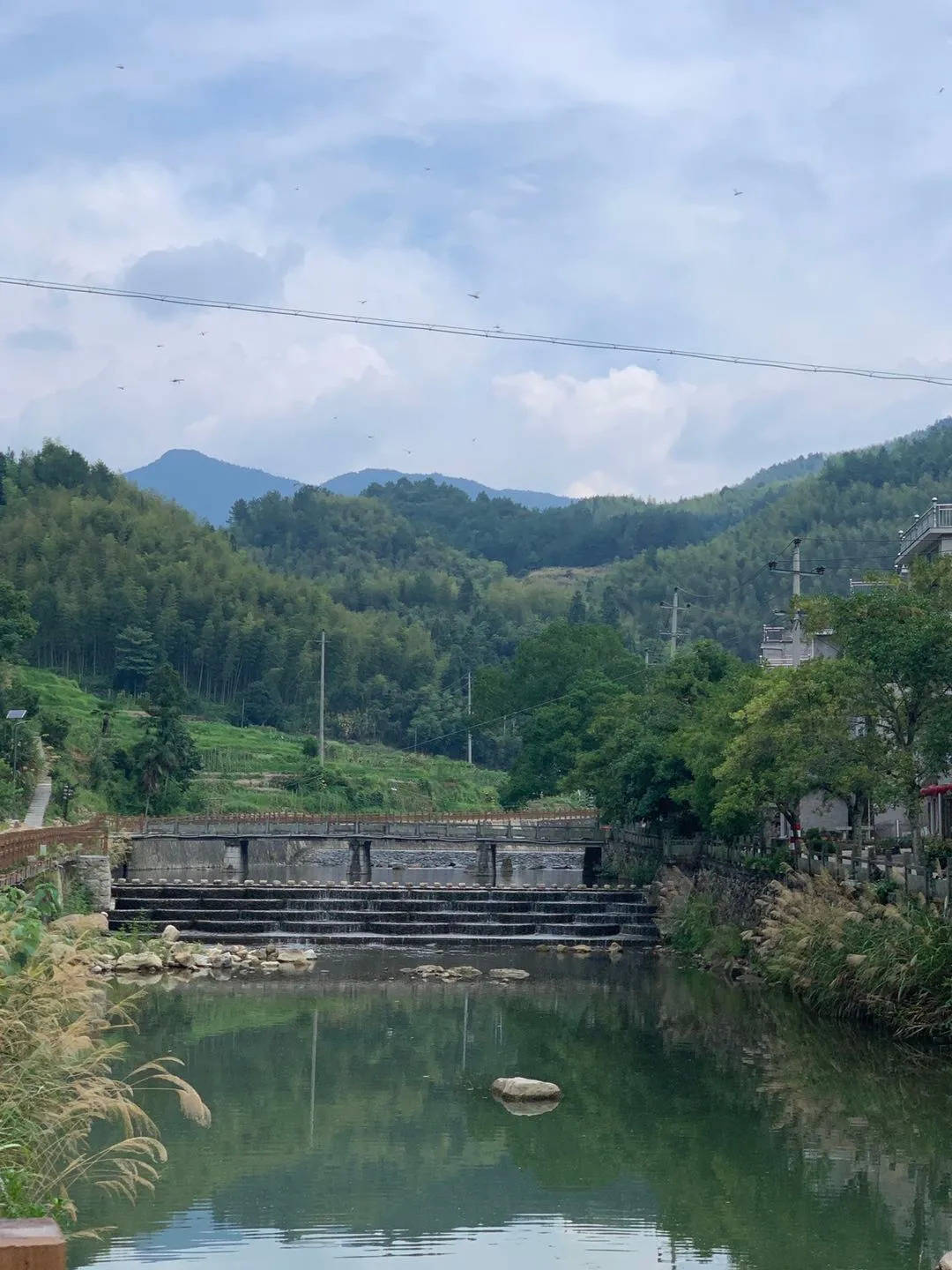 原创浙江有个名不见经传的小村落，夏天却可以美得不输九寨沟
