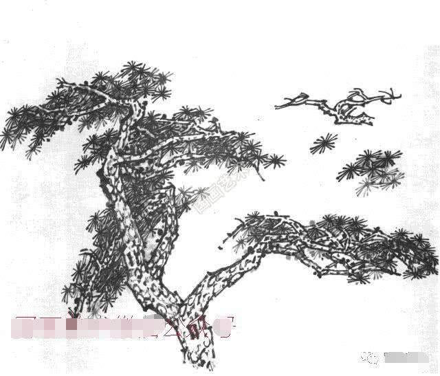 73e80d10d75541aeb32651b6553573a3.jpeg