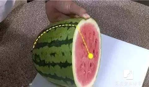 怎么挑选西瓜正确 0ca3be78c981493394f4ff9dc882957a.jpeg