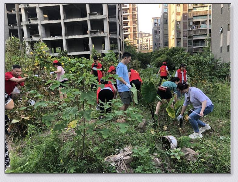 环境卫生大整治|江津区桥南社区组织辖区单位和志愿者进行环境卫生大整治