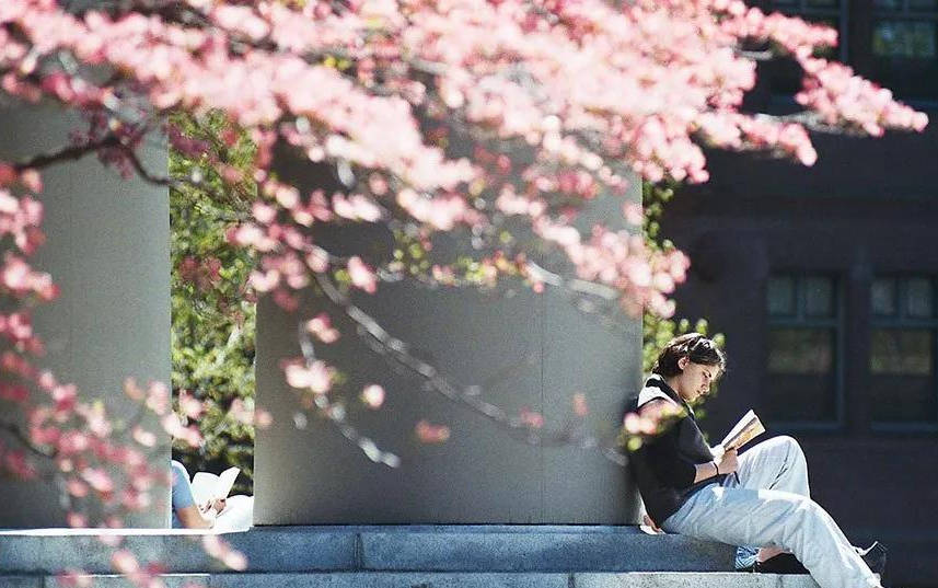 境界|留学文书写作三层境界，你在第几层次？