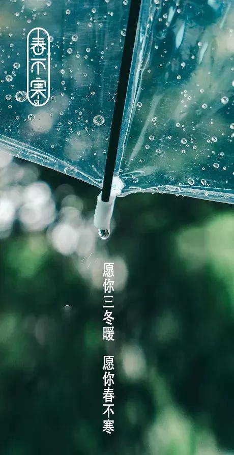 干净 满满的少女心简直要溢出来 夏日系列透明伞 如同雨中清新脱俗的