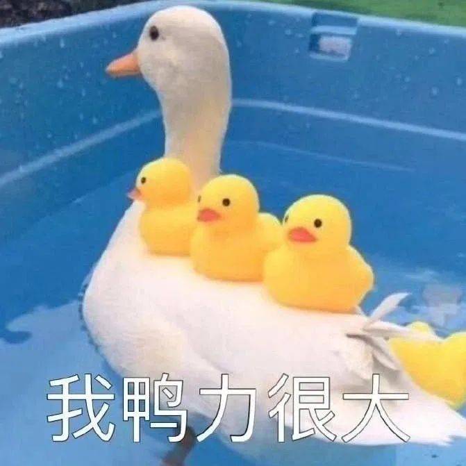 数学|【高校数学邦】我的专业，真的不是干这个的！