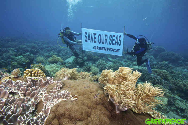 了解海洋资源 9f115c1d802242d1b87f8971efcb7fc0.jpeg