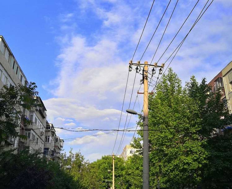 慎报|慎报！这些学校推免率太高！200所高校推免率和考研率排行榜！