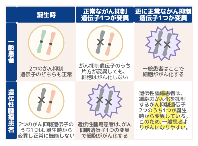 什么是家族遗传标志 bf6a4c0f8ca54011bff8c2bb6414eef2.png