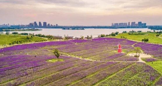 淮北大约人口_淮北师范大学(2)