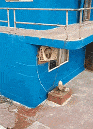 a8967cc1821a454c9cb0f739c143455c.gif