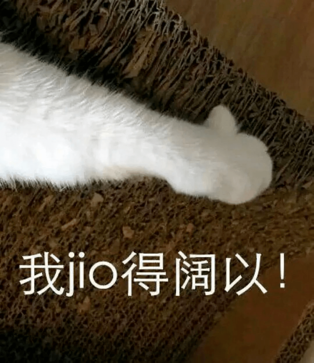 a9dc001a271d409781c6ba77b929ecfb.png