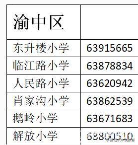 重庆2020年人口流失_2020年人口普查图片(3)