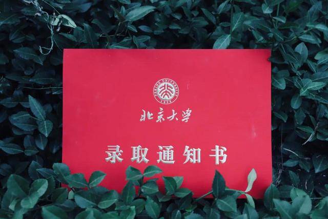 北京大学年全国各省市录取分数线汇总 北大