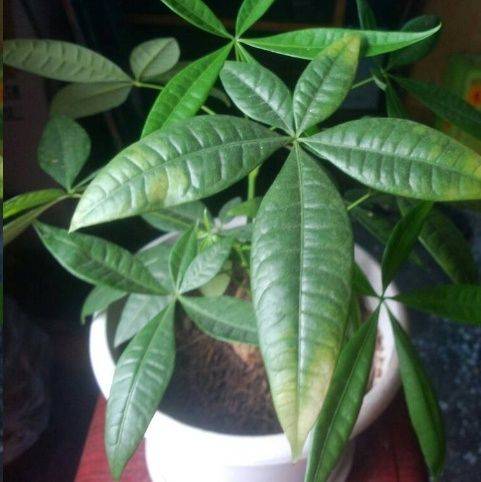 cbd3fc7e4a5d41f69d0b85df6fae1f91.jpeg