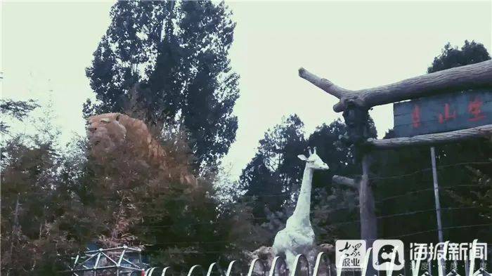 好消息这个承载几代泰安人回忆的公园要回来了