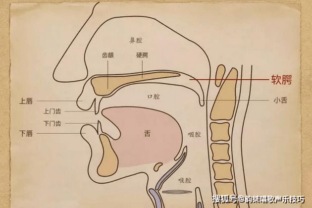 如何才能做到良好的口腔共鸣