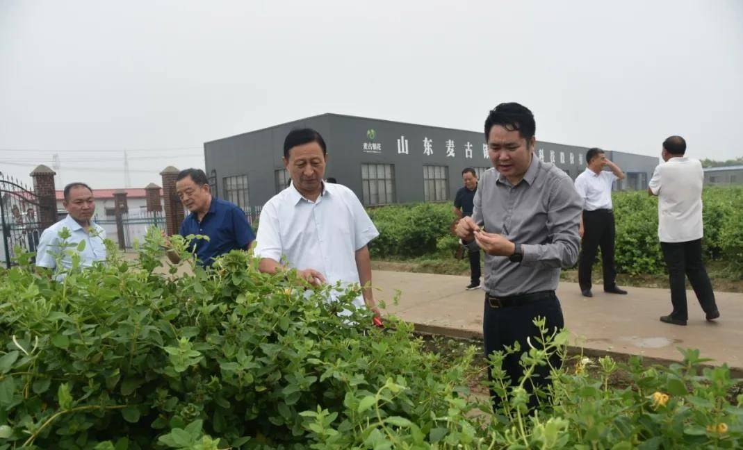 菏泽市人大代表陈化明一行到武胜桥镇开展调研工作