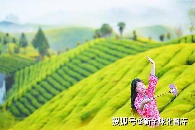 真香|一部手机缘何能“撬动”世界直播经济，世界网红直播大赛（会）悄然启动