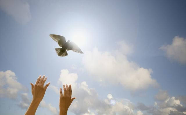 怎么才能变得有边界感 3313b3cdda9940f796515b66be85e274.jpeg