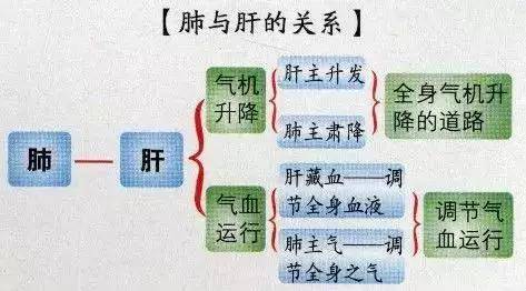 七,肝与肺的关系