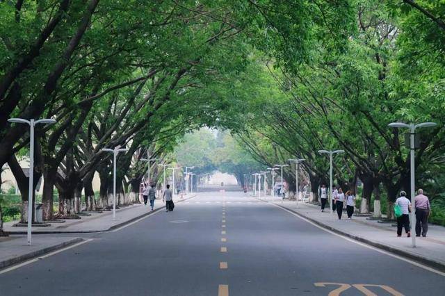 多多|快看!专插本最热门的大学!报考人数多多多!