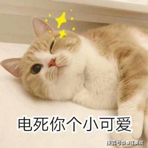 e86353f6d92d4e59b0c8b01675e283ae.jpeg