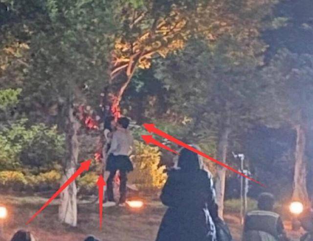 宋威龙树咚谭松韵戏份有上百人围观!尴尬程度