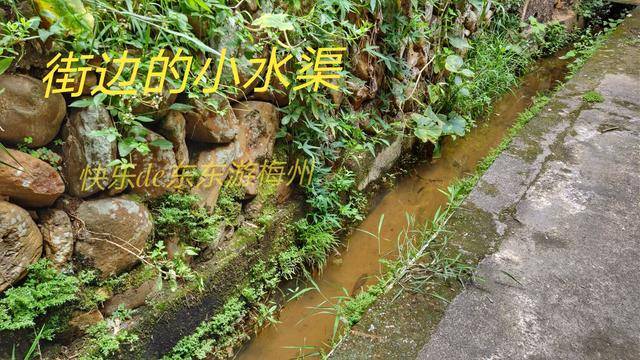 湖岭镇经济总量排名_湖岭镇