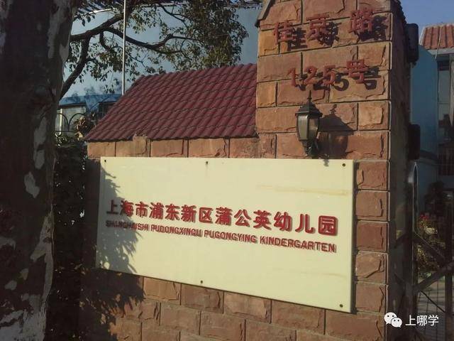 此外,还有 小风车广洋新景幼儿园,中芯幼儿园,胡姬港湾松林幼儿园,小