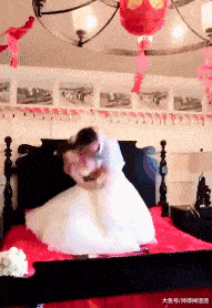 1d13d4e69ad8414fb839d0c525f2e14e.gif