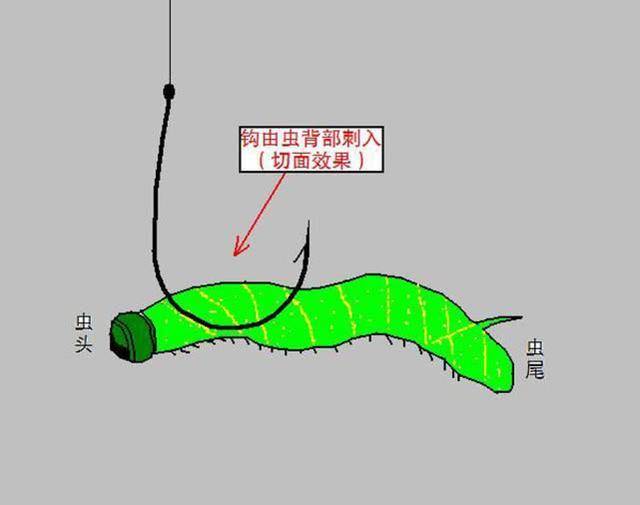 原创钓不到鲶鱼,只能怪自己,具体分为5个步骤,一次能钓好几条